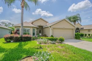 29702 TEE SHOT DRIVE, SAN ANTONIO, FL 33576 - MLS#MFRTB8397675
