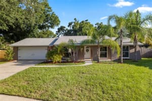 4307 FOXGLEN LANE, TAMPA, FL 33624 Sold 08/25/25