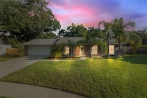 4307 FOXGLEN LANE, TAMPA, FL 33624 Sold 08/25/25