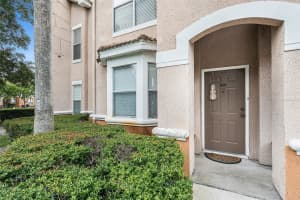 10436 VILLA VIEW CIRCLE, TAMPA, FL 33647 - MLS#MFRTB8397699