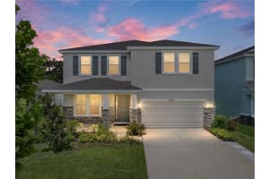 13735 Wineberry Dr, DADE CITY