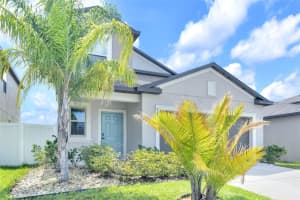 797 OLIVE CONCH STREET, RUSKIN, FL 33570 - MLS#MFRTB8397746