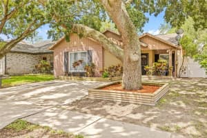 4613 SUMMERWIND COURT, PLANT CITY, FL 33566 Sold 07/24/25