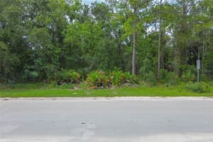 6859 MERRIVALE LANE, HOMOSASSA, FL 34446 - MLS#MFRTB8397774