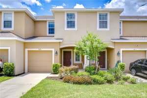 7077 Woodchase Glen Dr, RIVERVIEW