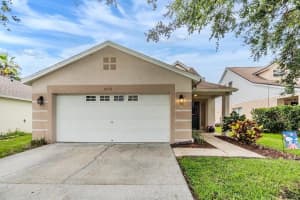 8632 HAWBUCK STREET, TRINITY, FL 34655 - MLS#MFRTB8397849