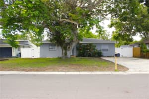 1317 BETTY LANE, CLEARWATER, FL 33756 - MLS#MFRTB8397857