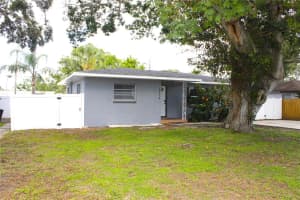 1317 BETTY LANE, CLEARWATER, FL 33756 - MLS#MFRTB8397857