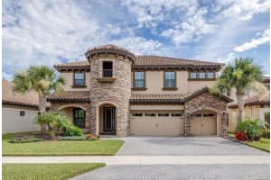 21675 Amelia Rose Way, LAND O LAKES
