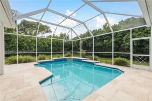 1156 RIDGEGROVE DRIVE, PALM HARBOR, FL 34683 Sold 07/31/25