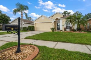 3137 Banyan Hill Ln, LAND O LAKES