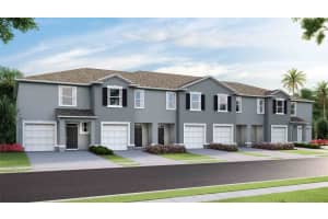 17465 Spanish Oak Loop, LAND O LAKES