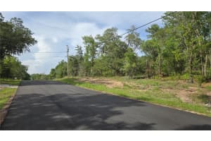 4771 REDWOOD AVENUE, HERNANDO, FL 34442 - MLS#MFRTB8398091