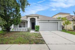 8104 Abbey Mist Cv, TAMPA