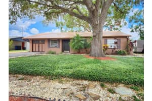 3304 Alamar St, LUTZ