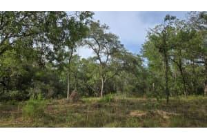 4811 REDWOOD AVENUE, HERNANDO, FL 34442 - MLS#MFRTB8398174