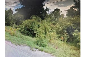 ROSE AVE, LEESBURG, FL 34788 - MLS#MFRTB8398190