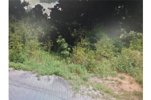 ROSE AVE, LEESBURG, FL 34788 - MLS#MFRTB8398190