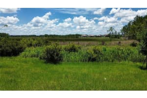 35436 BIG HAWK DRIVE, ZEPHYRHILLS, FL 33541 - MLS#MFRTB8398199