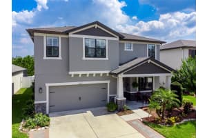 11219 PADDOCK MANOR AVENUE, RIVERVIEW, FL 33569 Sold 08/22/25