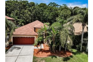 15762 Cedar Elm Terrace, LAND O LAKES