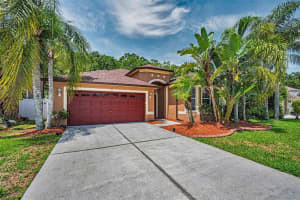 15762 CEDAR ELM TERRACE, LAND O LAKES, FL 34638 - MLS#MFRTB8398219