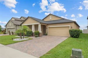 11308 Chilly Water Ct, RIVERVIEW