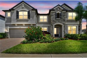 11002 Sundrift Dr, TAMPA