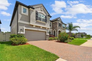 11002 SUNDRIFT DRIVE, TAMPA, FL 33647 - MLS#MFRTB8398291