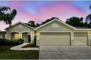 15217 OCTAVIA LANE, ODESSA, FL 33556 - MLS#MFRTB8398329