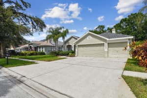 15217 OCTAVIA LANE, ODESSA, FL 33556 - MLS#MFRTB8398329