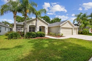 15217 OCTAVIA LANE, ODESSA, FL 33556 - MLS#MFRTB8398329