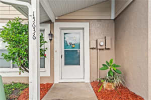 15636 Morning Dr, LUTZ