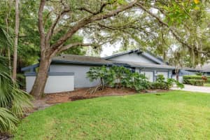 60 BIRDSONG COURT, OLDSMAR, FL 34677 - MLS#MFRTB8398415