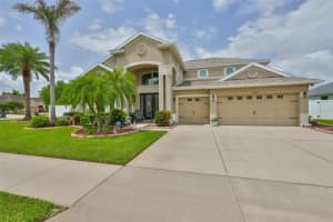 13728 Artesa Bell Dr, RIVERVIEW