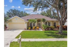 10203 SHADOW BRANCH DRIVE, TAMPA, FL 33647 Sold 08/06/25