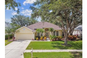 10203 SHADOW BRANCH DRIVE, TAMPA, FL 33647 Sold 08/06/25