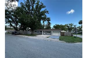 12009 WASHINGTON STREET, SEFFNER, FL 33584 - MLS#MFRTB8398431