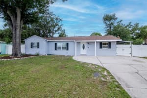 4317 S Hale Ave, TAMPA