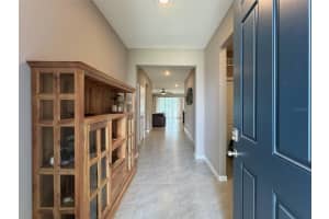 11304 TIMBER GROVE LANE, BROOKSVILLE, FL 34613 - MLS#MFRTB8398439