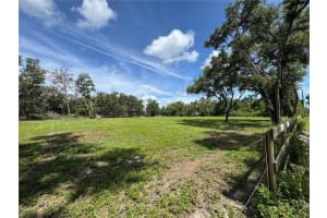 6845 LUMBERTON ROAD, ZEPHYRHILLS, FL 33540 - MLS#MFRTB8398463
