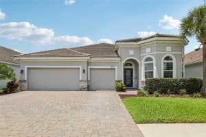 12004 Cinnamon Fern Dr, RIVERVIEW