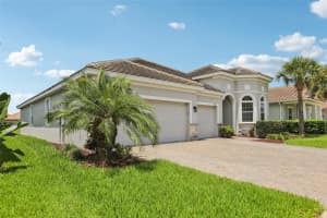 12004 CINNAMON FERN DRIVE, RIVERVIEW, FL 33579 - MLS#MFRTB8398597