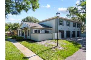11799 RAINTREE DRIVE, TEMPLE TERRACE, FL 33617 - MLS#MFRTB8398604