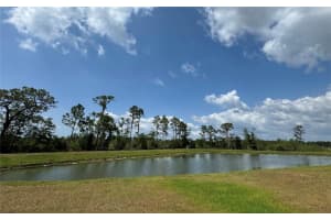 8922 LITTLE BLUESTEM DRIVE, LAND O LAKES, FL 34637 - MLS#MFRTB8398606