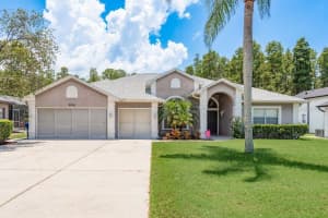 8214 Silver Mist Pl, TRINITY