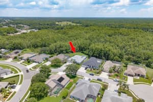 8214 SILVER MIST PLACE, TRINITY, FL 34655 - MLS#MFRTB8398613