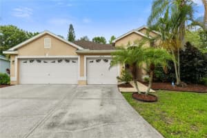 12031 Mountbatten Dr, TAMPA
