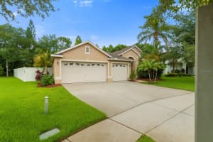 12031 MOUNTBATTEN DRIVE, TAMPA, FL 33626 - MLS#MFRTB8398640