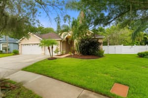 12031 MOUNTBATTEN DRIVE, TAMPA, FL 33626 - MLS#MFRTB8398640